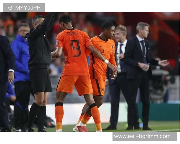 国际足联发布新规严禁球场内出现政治和歧视性标语